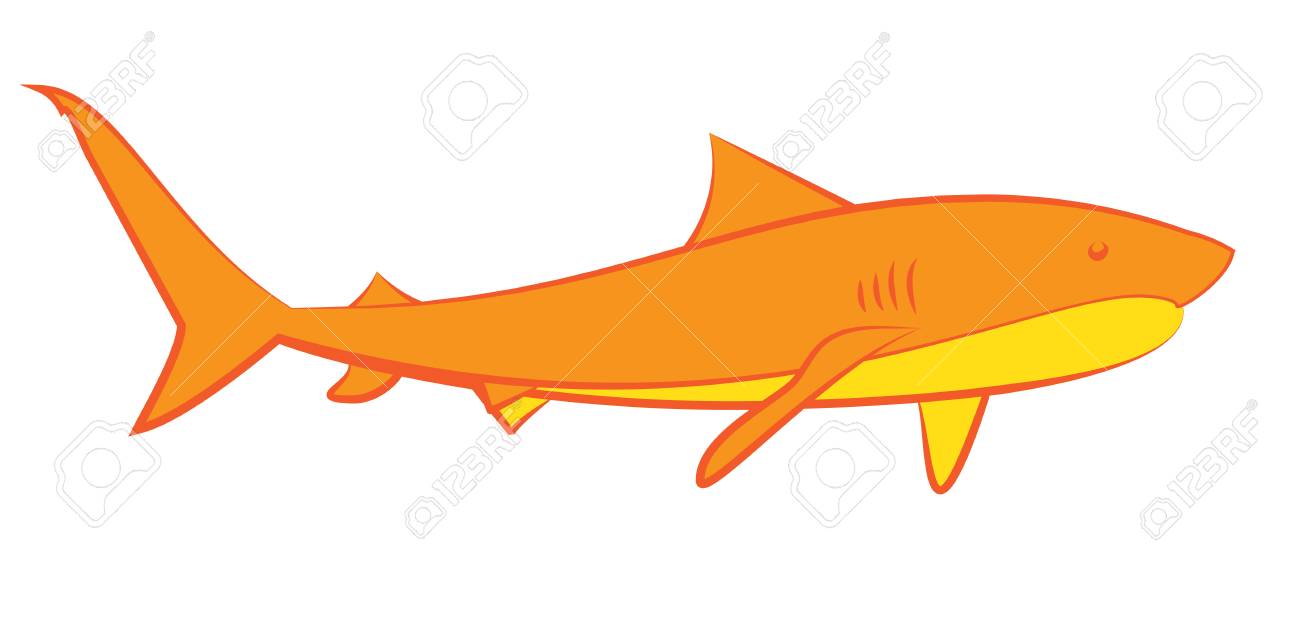 白地にオレンジ色のサメ サメのベクトルのイラスト のイラスト素材 ベクタ Image