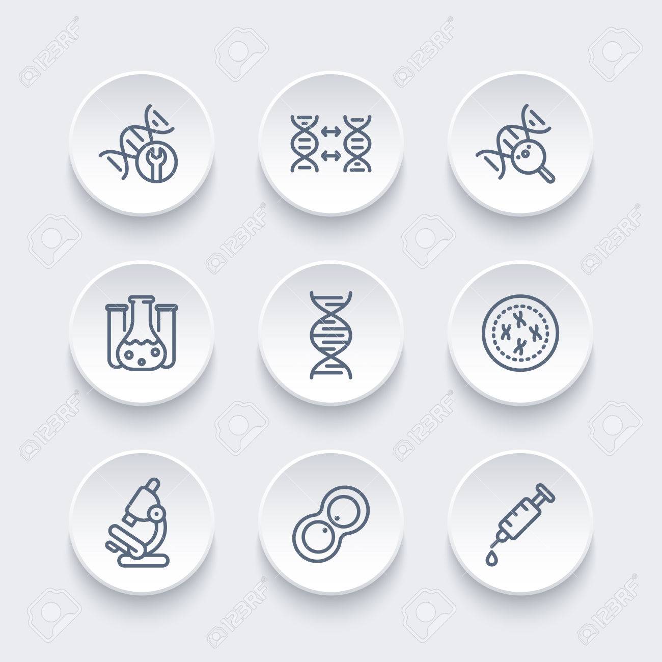 遺伝ライン アイコン Dna 鎖 細胞 研究 演習 遺伝子組み換え ベクトル図 のイラスト素材 ベクタ Image