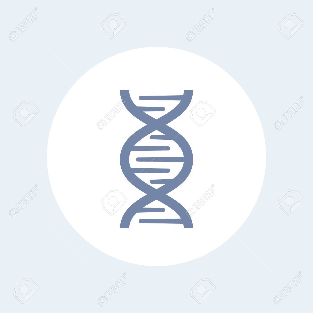 Blog - GenoGra, image size:1300x1300