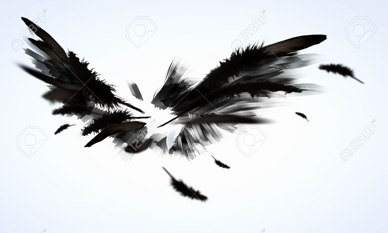 明るい背景に対して黒い翼の抽象的なイメージ の写真素材 画像素材 Image