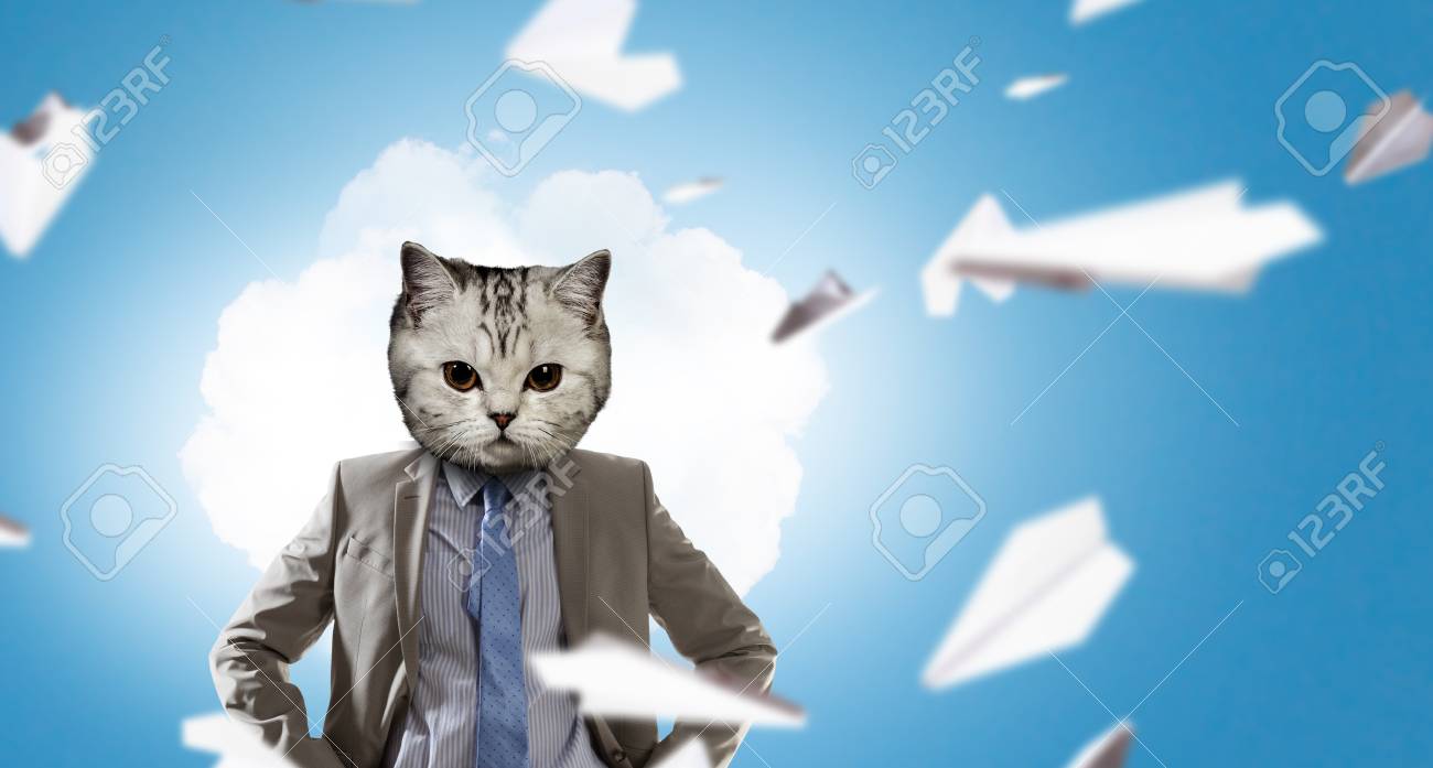 Chat En Costume D Affaire Medias Melanges Banque D Images Et Photos Libres De Droits Image Chat En Costume D Affaire Medias Melanges Banque D Images Et Photos Libres De Droits Image