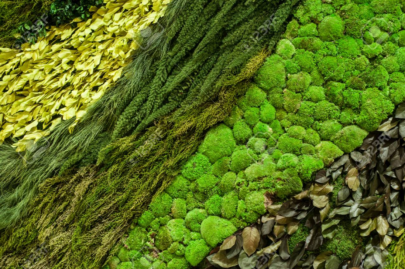 Venta Al Por Menor De Pared Vegetal En Decoracion De Interiores