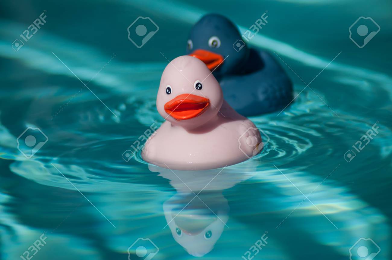 pink and blue rubber ducks