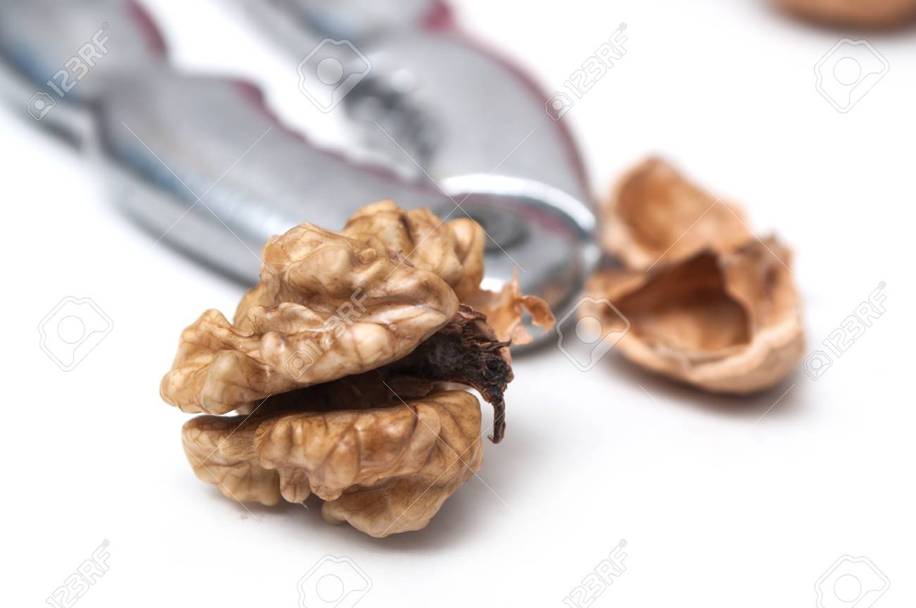 closeup of walnuts and nutcracker on white background stock photo