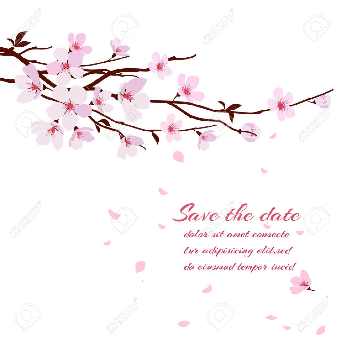 Herpes Dating-Website usa