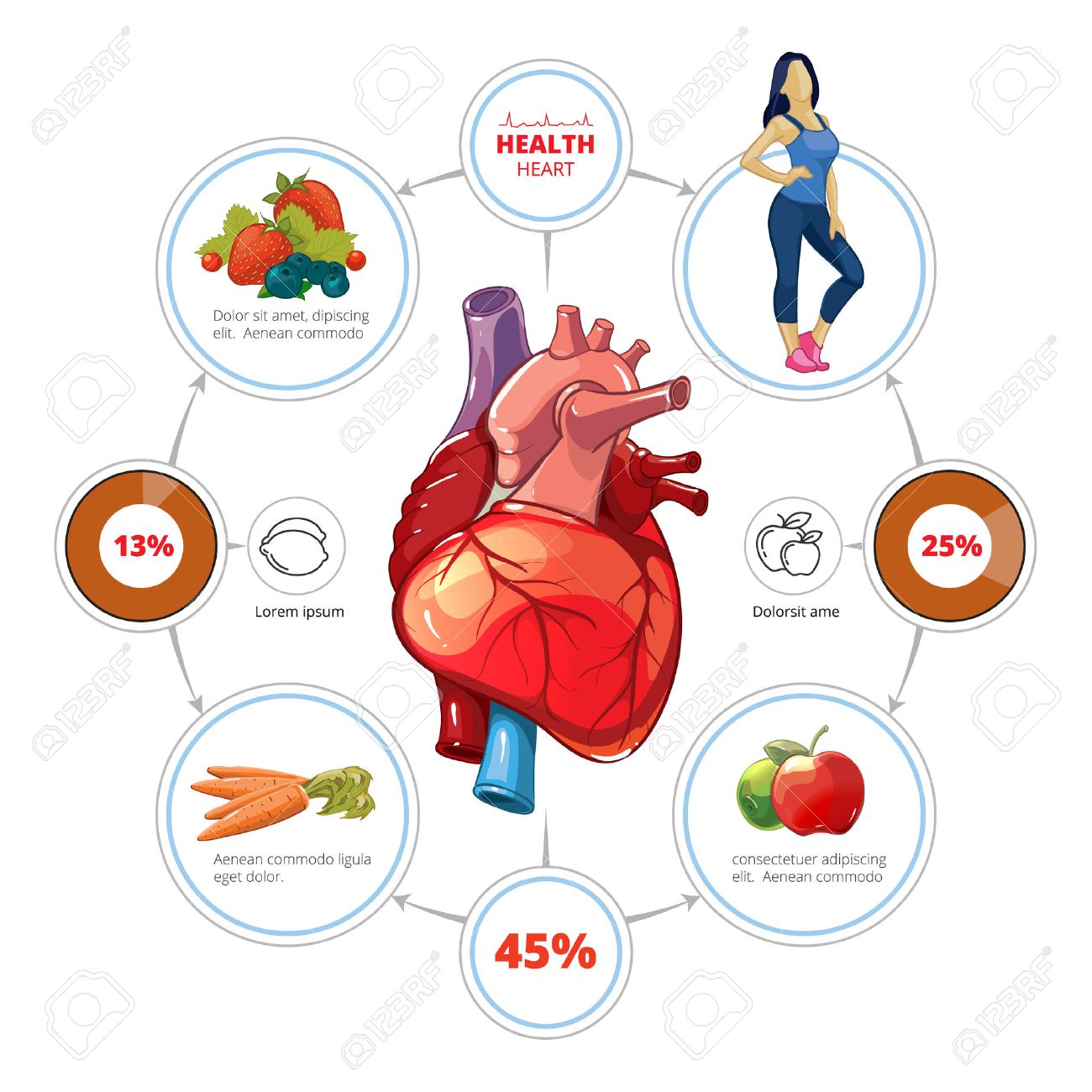 Herz Medizinische Vektor Infografiken Orgel Und Ernahrung Fur Das Gesundheitswesen Gemuse Und Vitamin Obst Abbildung Lizenzfrei Nutzbare Vektorgrafiken Clip Arts Illustrationen Image