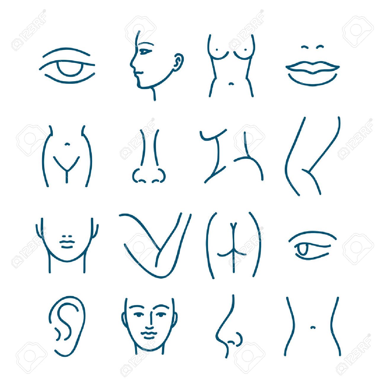 Human body parts vector line icons for plastic surgery or cosmetic surgery. Anatomy plastic surgery, face and eye plastic surgery, mouth and lip plastic surgery illustration - 55680606 Human body parts vector line icons for plastic surgery or cosmetic surgery. Anatomy plastic surgery, face and eye plastic surgery, mouth and lip plastic surgery illustration - 55680606