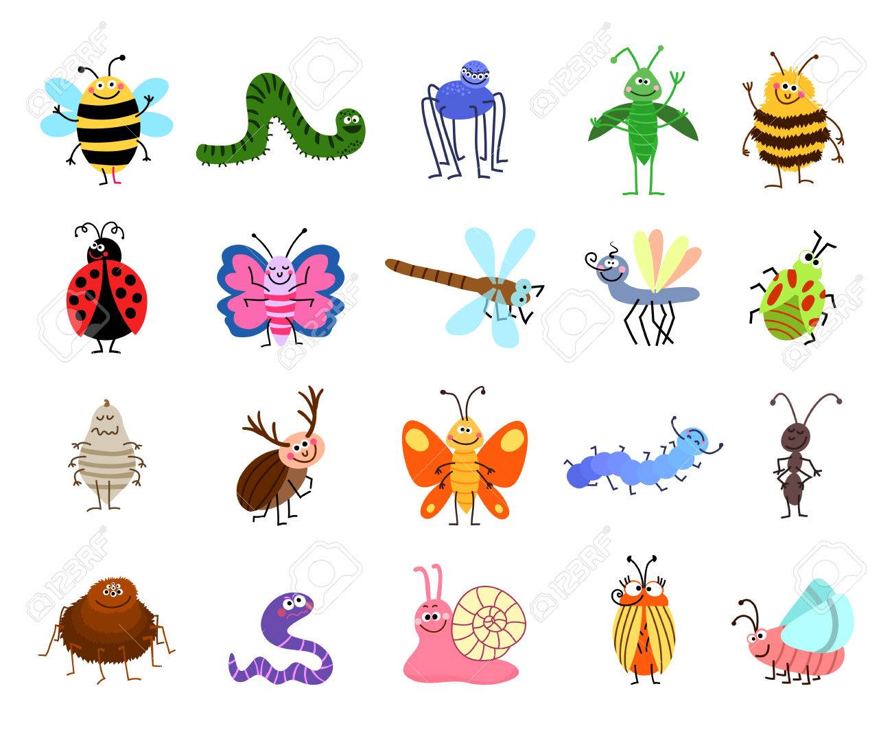Funny Bugs Vector Cute Bugs And Insects Isolated On White Background Set Of Characters Insects Bee And Caterpillar Spider And Butterfly Illustration Royalty Free Svg Cliparts Vectors And Stock Illustration Image