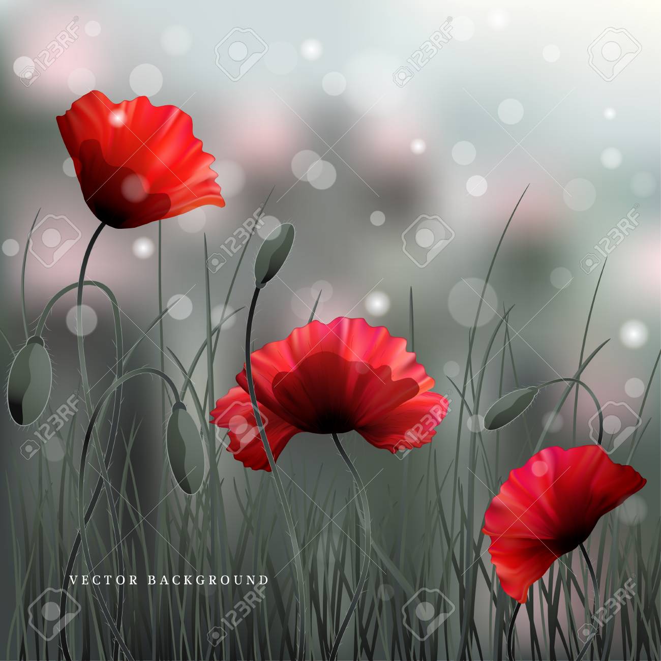 ベクトルの背景またはカード ポピーと草の牧草地 空 ボケ 火花模造白黒写真 お知らせ 招待状 ご挨拶に最適です 追悼の日のイラスト素材 ベクタ Image