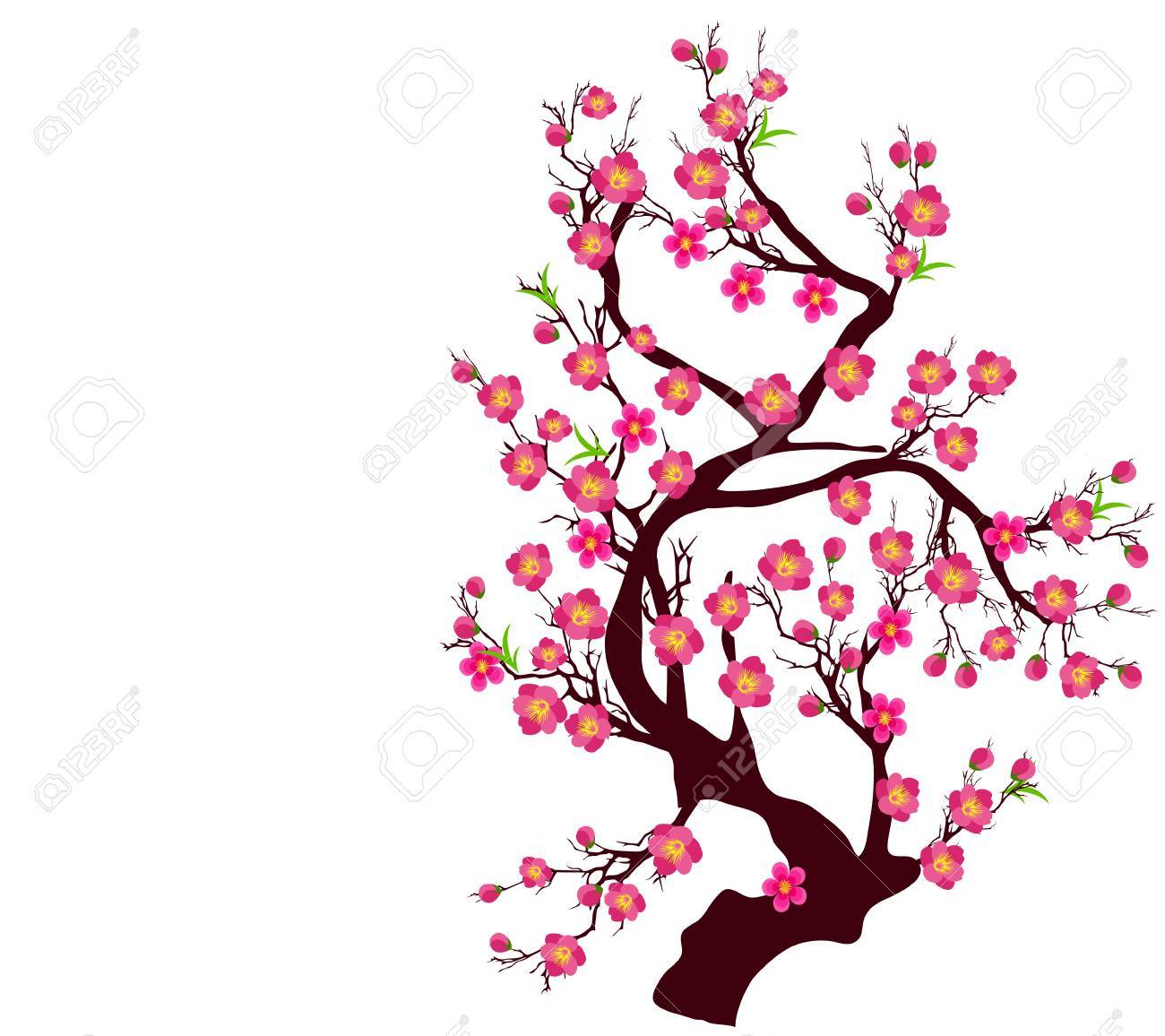 Fleur De Cerisier De Vecteur Pour Le Nouvel An Chinois Et La Nouvelle Année Lunaire