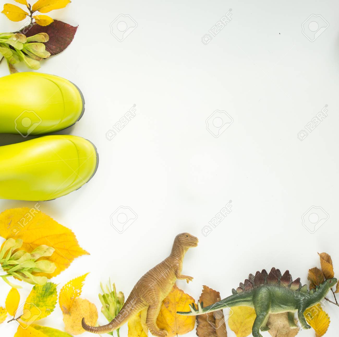 dinosaurs rain boots