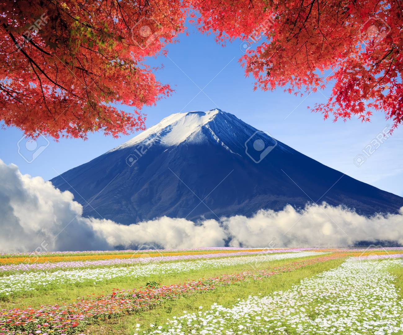 素晴らしい自然の色と美しい風景の画像 の写真素材 画像素材 Image