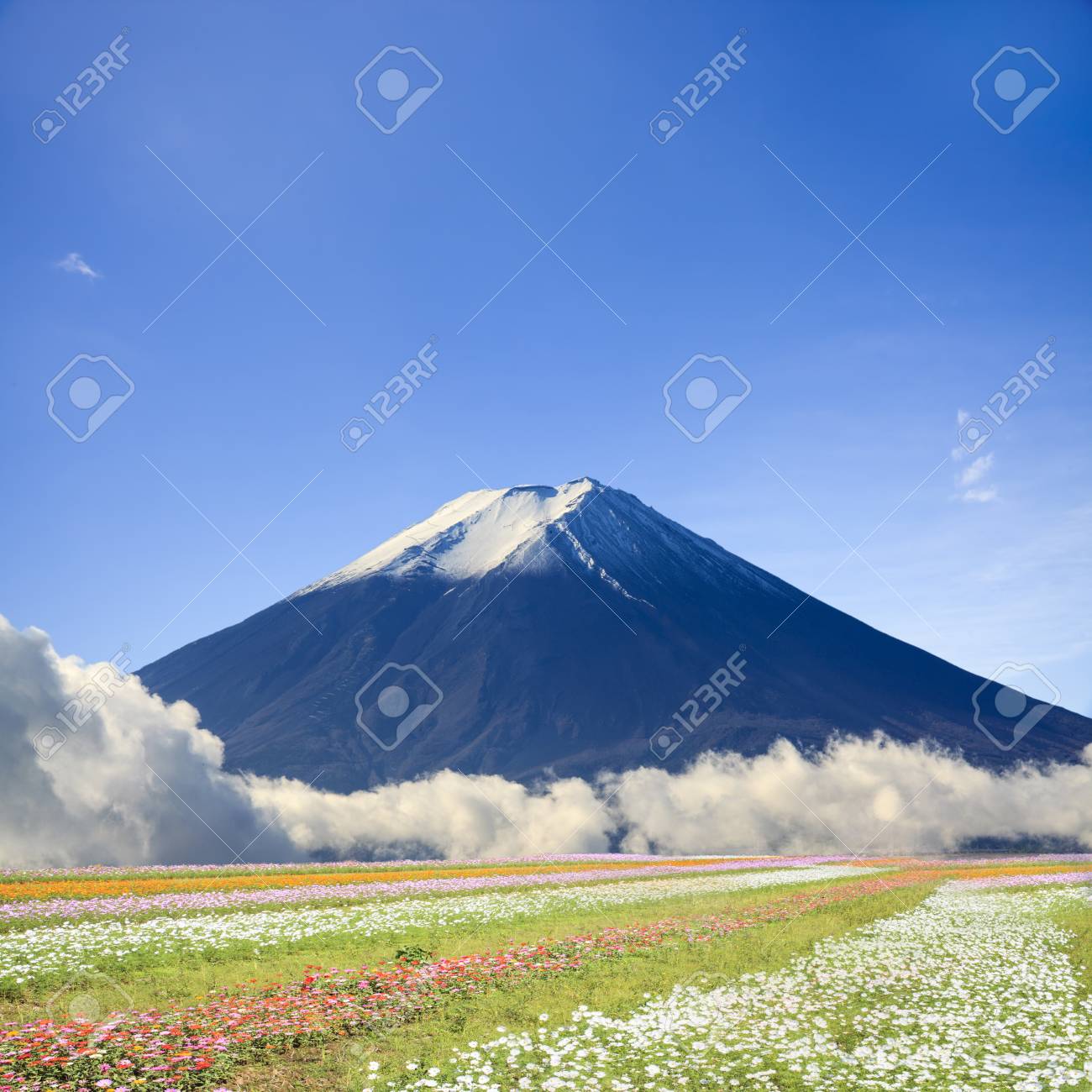 素晴らしい自然の色と美しい風景の画像 の写真素材 画像素材 Image