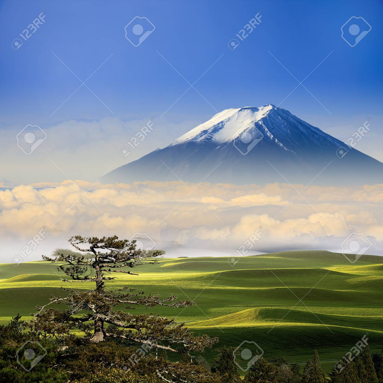 素敵な背景色と美しい風景 の写真素材 画像素材 Image 素敵な背景色と美しい風景 の写真素材 画像素材 Image