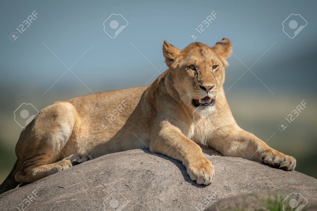 etiam-dictum-ipsum-a-felis