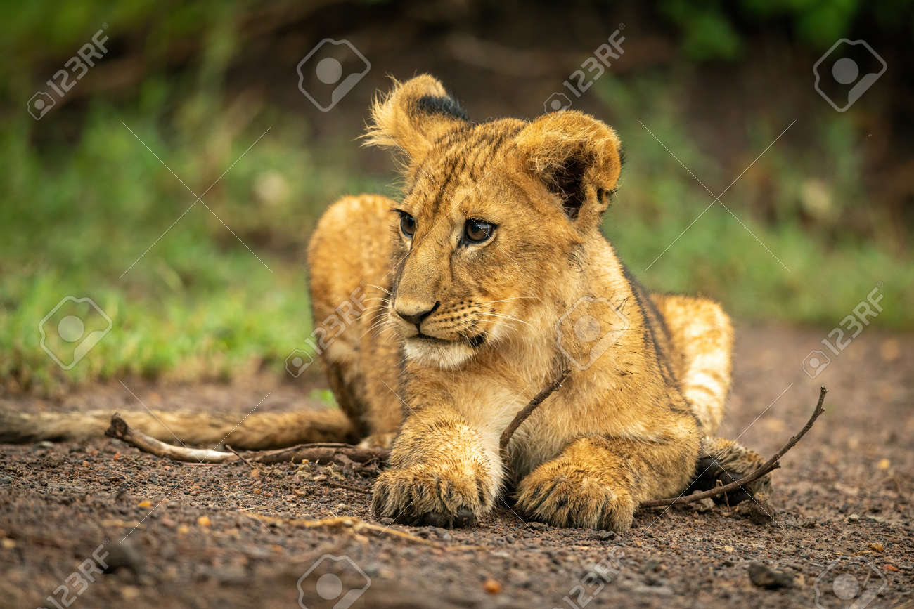 etiam-dictum-ipsum-a-felis