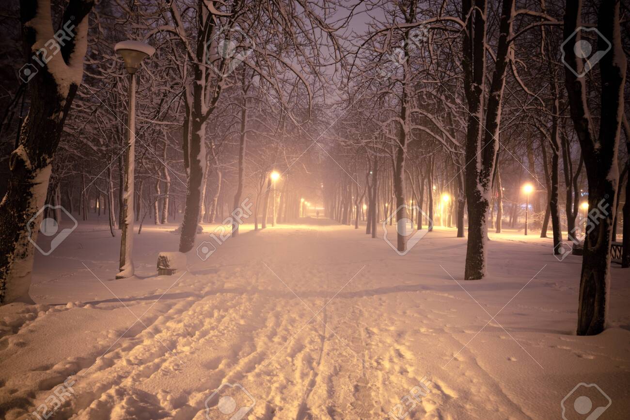 Night Winter Landscape. Snowy Alley Of City Illuminated Park Stock Photo,  Picture and Royalty Free Image. Image 120950081., image size:1300x866