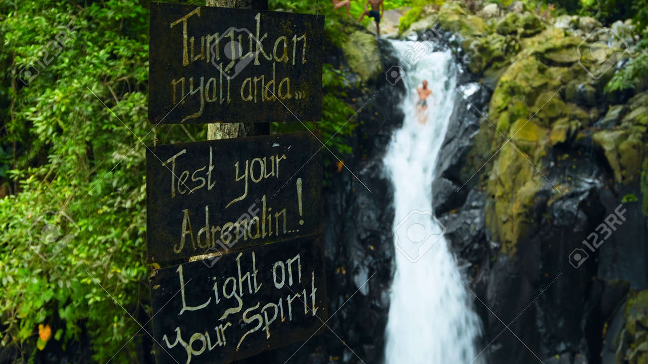 tropical jungle with green plants and trees with the text on the billboard "Test your adrenalin!" - 171136207 tropical jungle with green plants and trees with the text on the billboard "Test your adrenalin!" - 171136207