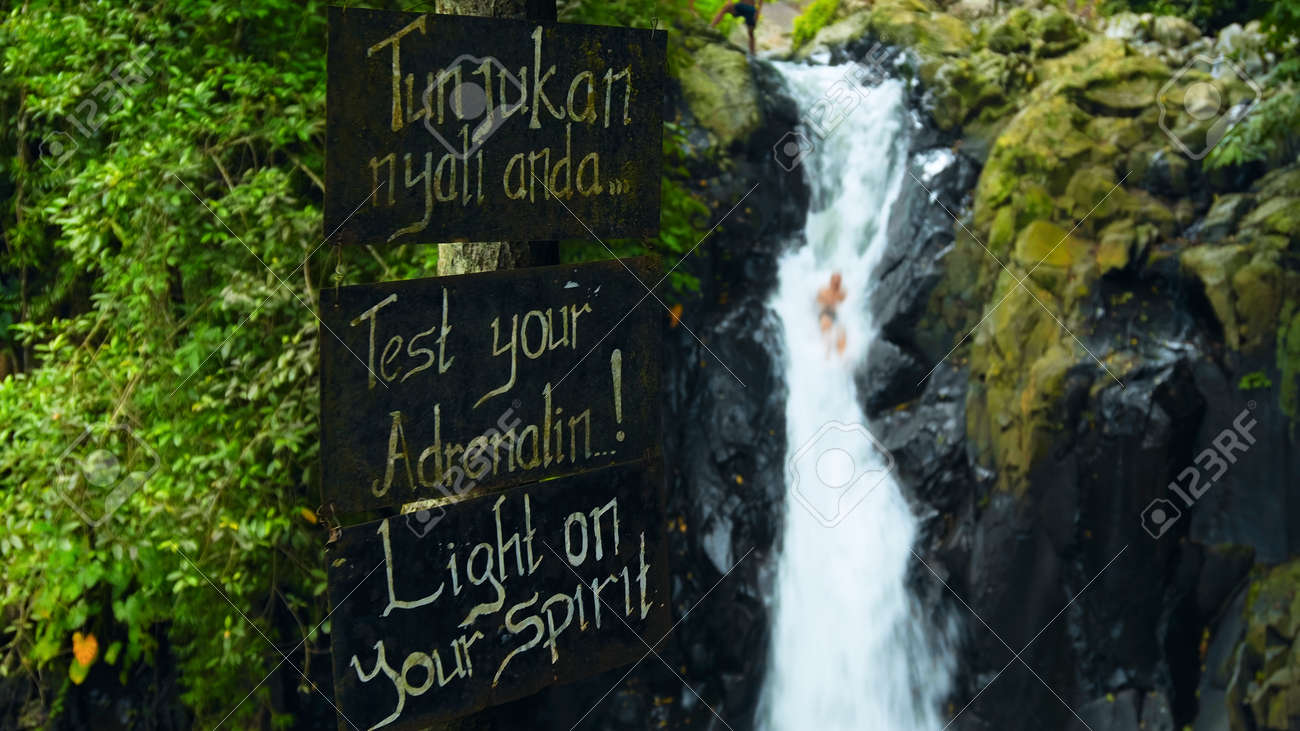 tropical jungle with green plants and trees with the text on the billboard "Test your adrenalin!" - 171136216 tropical jungle with green plants and trees with the text on the billboard "Test your adrenalin!" - 171136216