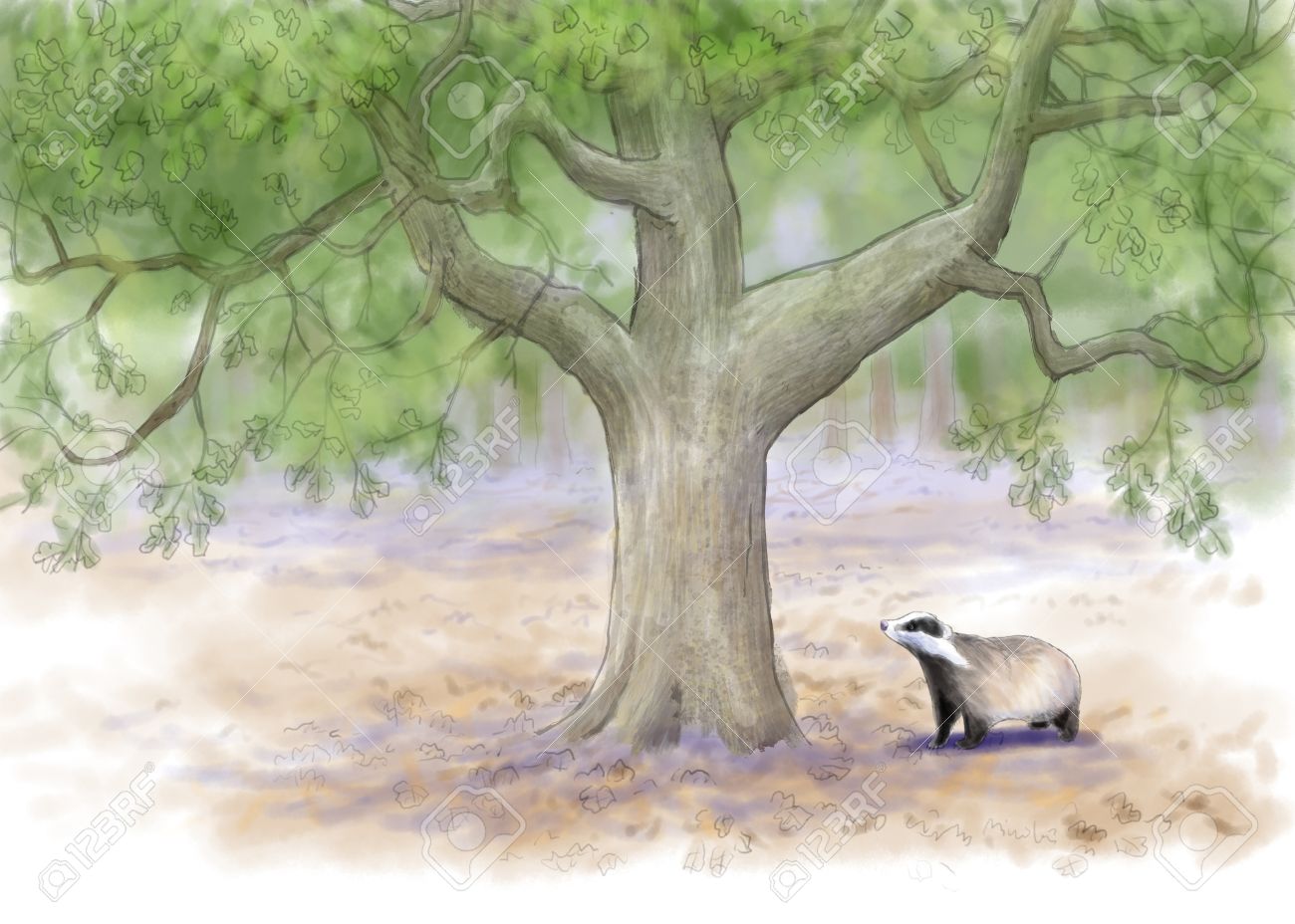 夏の森でアナグマのデジタル水彩イラスト の写真素材 画像素材 Image