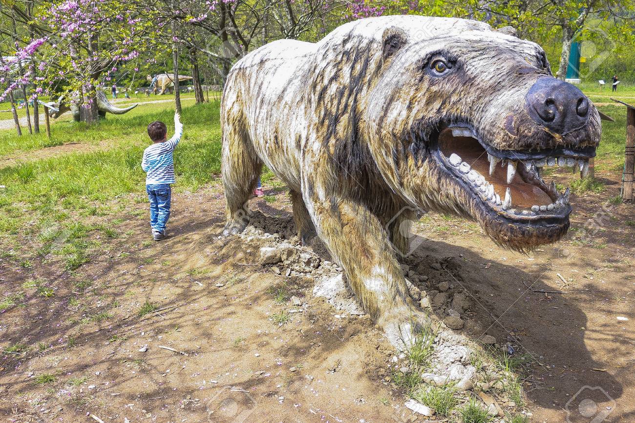 large carnivorous animal stock