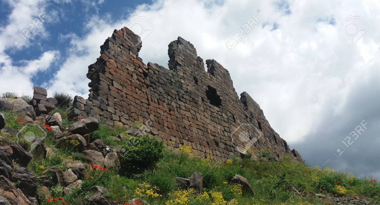 etiam-dictum-ipsum-a-felis