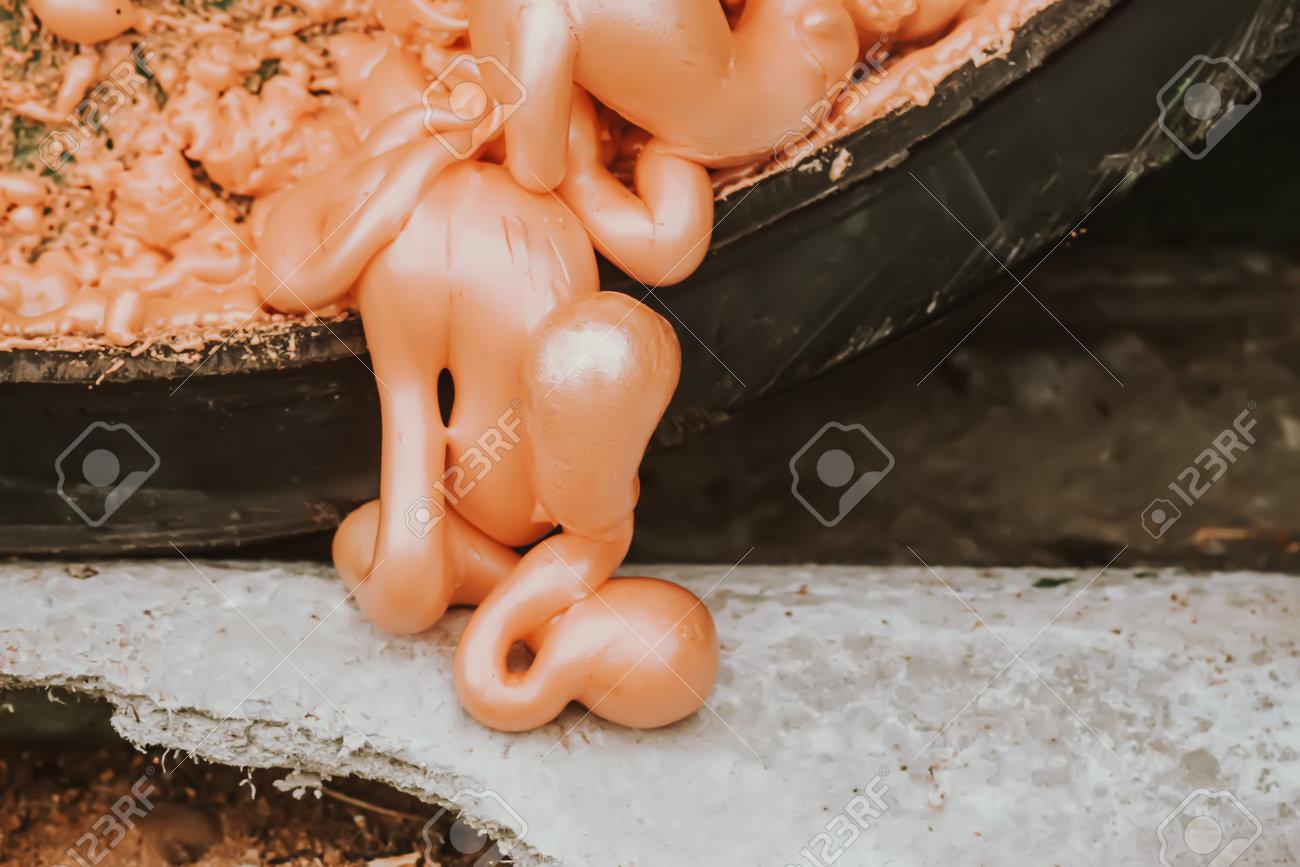 etiam-dictum-ipsum-a-felis