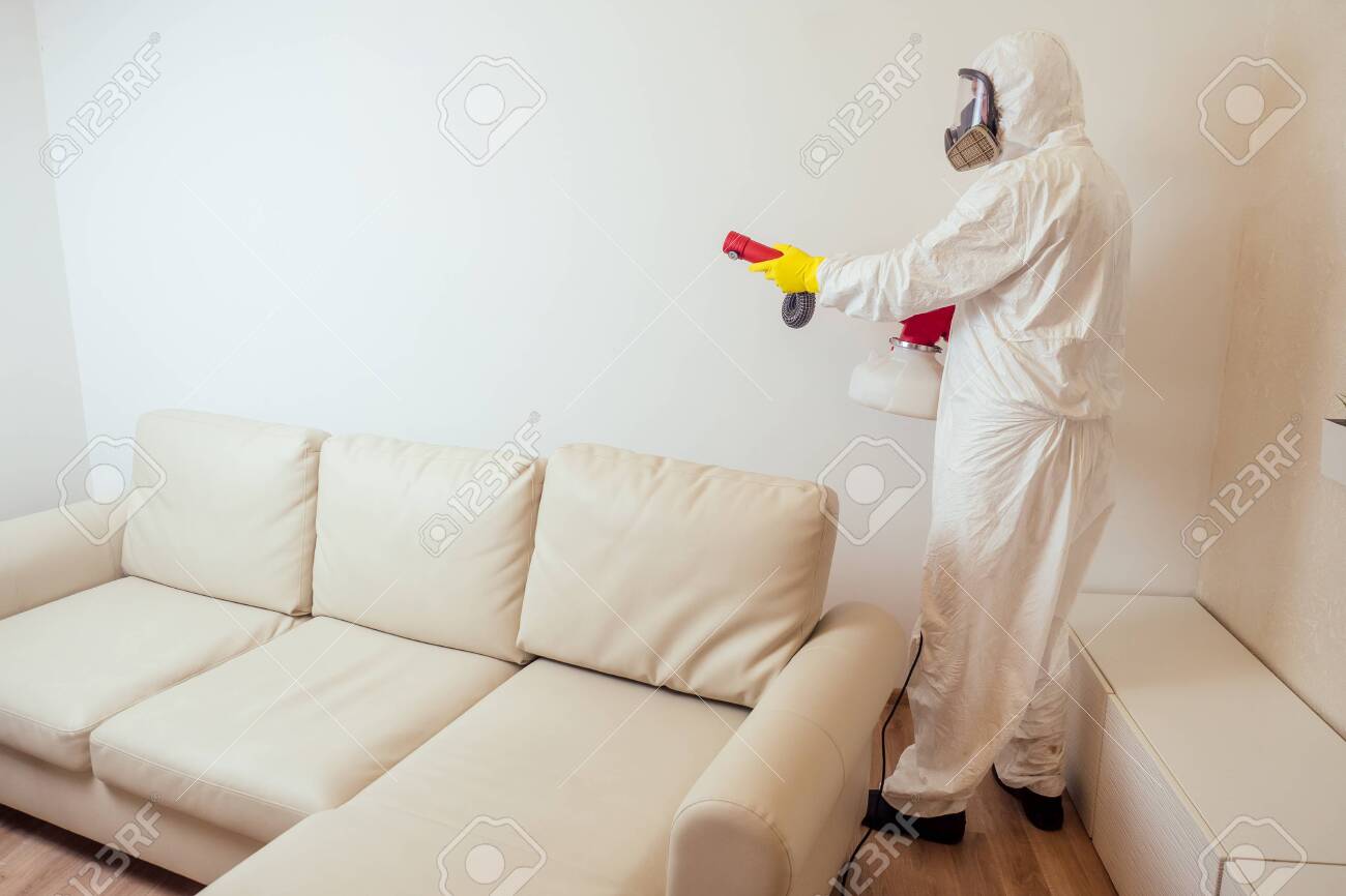 pest control worker in uniform spraying pesticides under couch in living lounge room. - 132702806 pest control worker in uniform spraying pesticides under couch in living lounge room. - 132702806