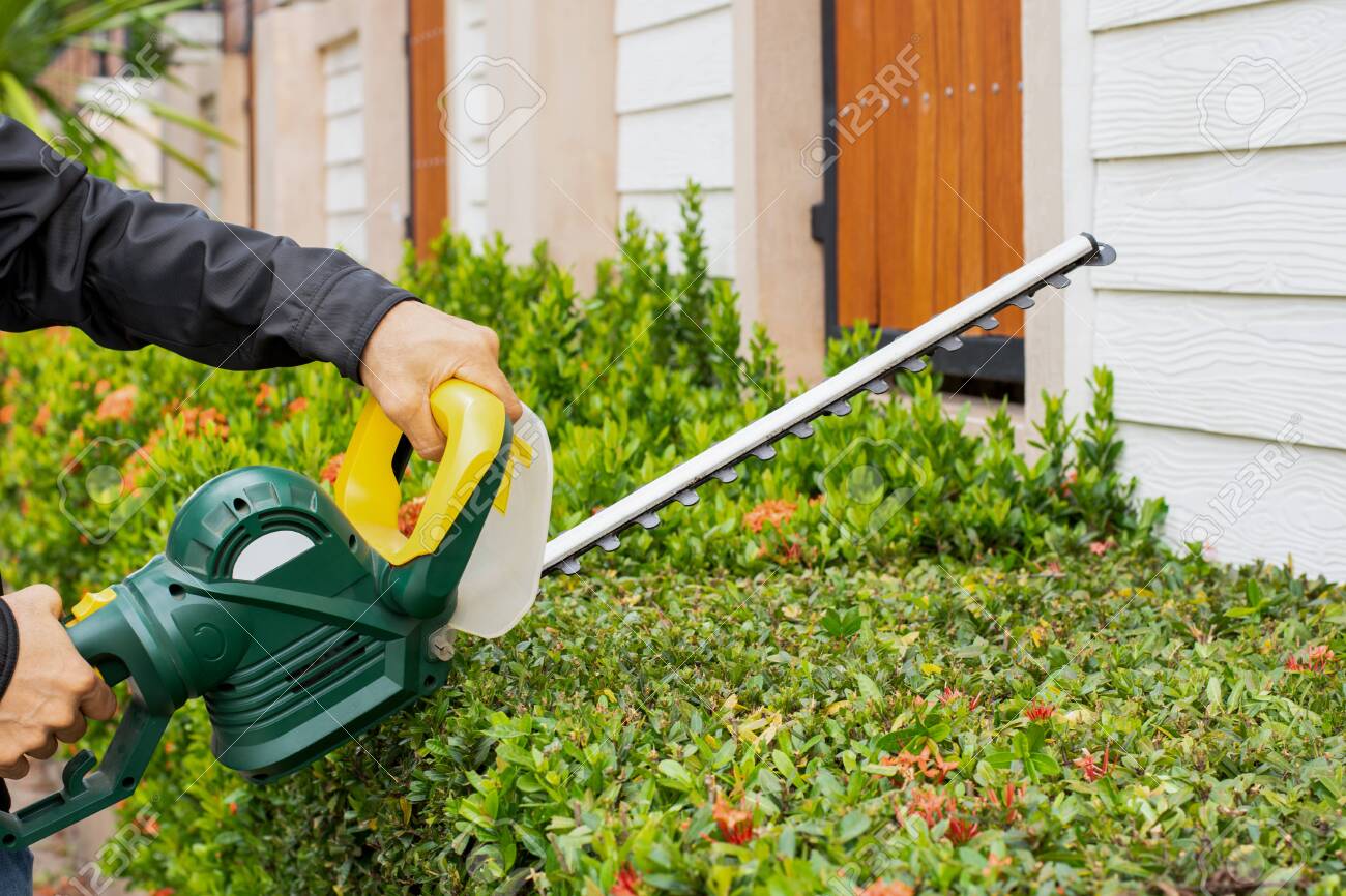 garden hand trimmer