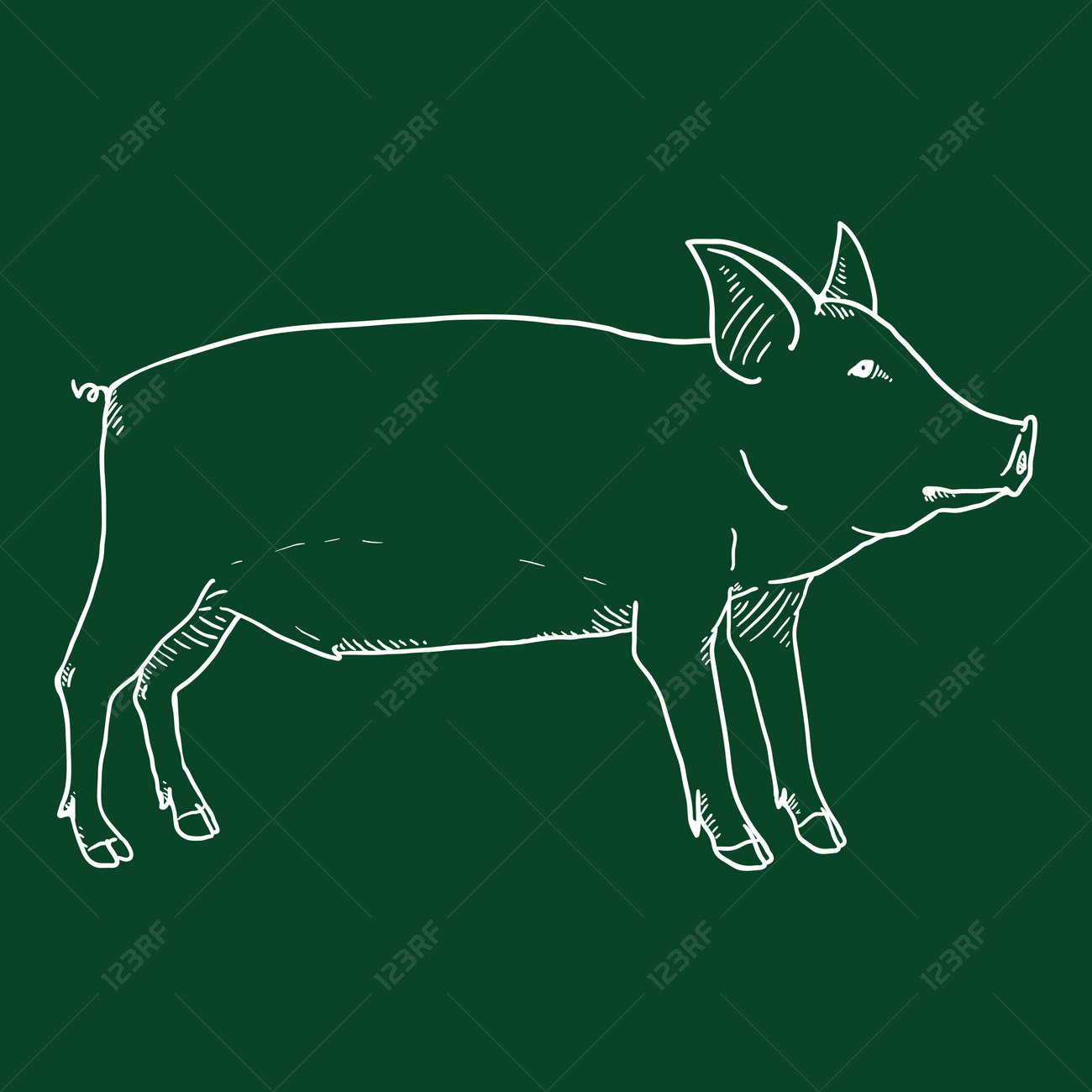 etiam-dictum-ipsum-a-felis