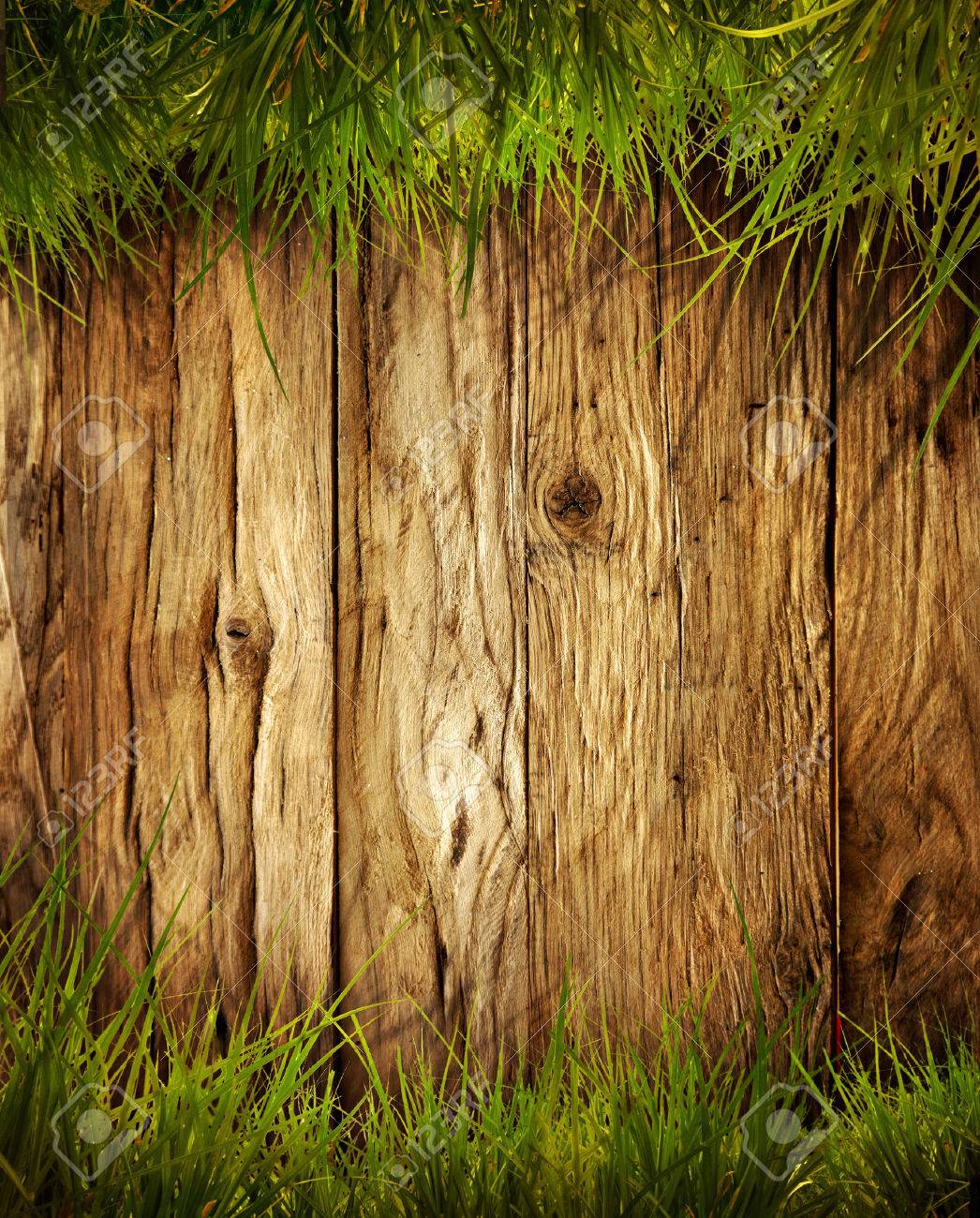 Spring grass background. Grass over wood. Nature background with grass and wood - 42140248 Spring grass background. Grass over wood. Nature background with grass and wood - 42140248