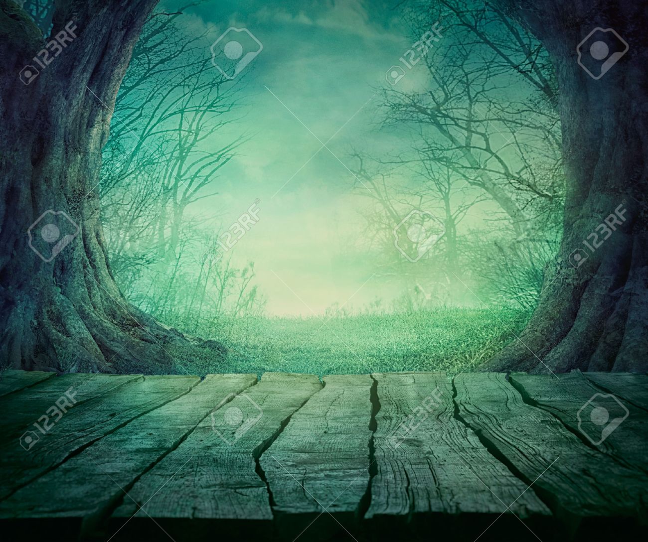 Halloween background. Spooky forest with dead trees and wooden table. Wood table - 46774983 Halloween background. Spooky forest with dead trees and wooden table. Wood table - 46774983