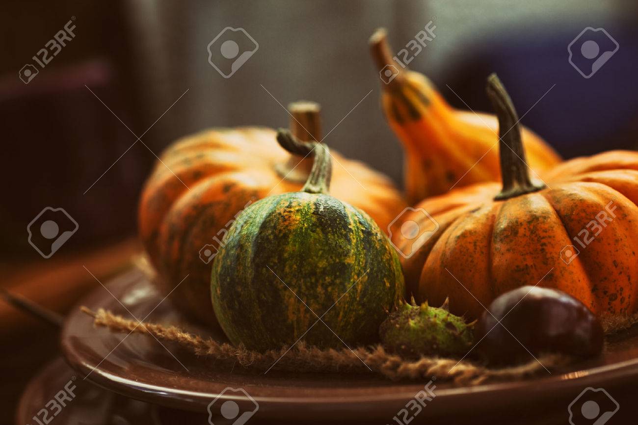 Autumn table setting with pumpkins. Thanksgiving dinner and autumn decoration. - 46775021 Autumn table setting with pumpkins. Thanksgiving dinner and autumn decoration. - 46775021