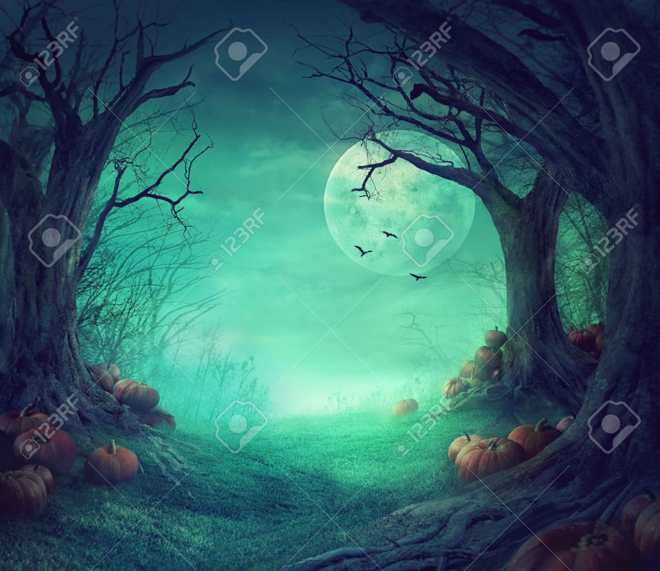 Halloween background. Spooky forest with dead trees and pumpkins. Halloween design with pumpkins - 63075673 Halloween background. Spooky forest with dead trees and pumpkins. Halloween design with pumpkins - 63075673