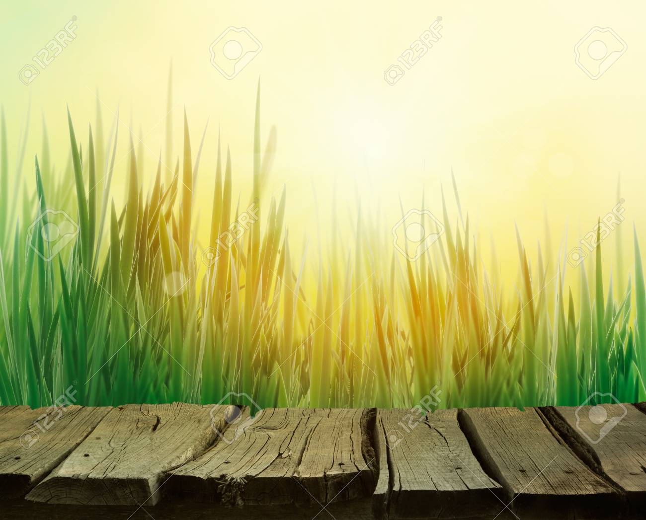 Spring Grass. Blur Background. Summer Nature. Bokeh Blurred Background.Wooden  Table. Wood Planks Stock Photo, Picture and Royalty Free Image. Image  73561839., image size:1300x1047