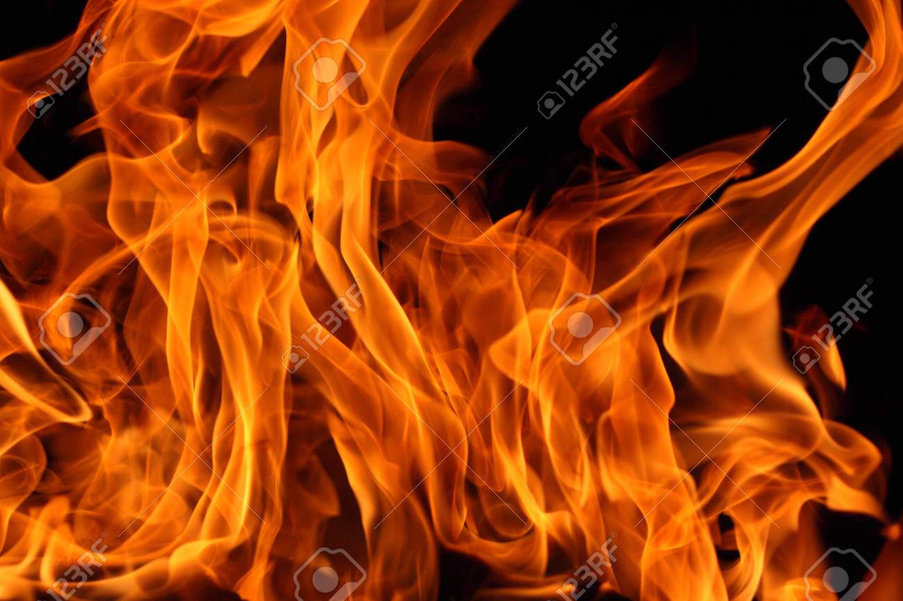 etiam-dictum-ipsum-a-felis