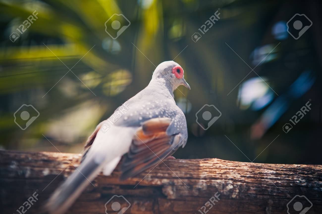 etiam-dictum-ipsum-a-felis