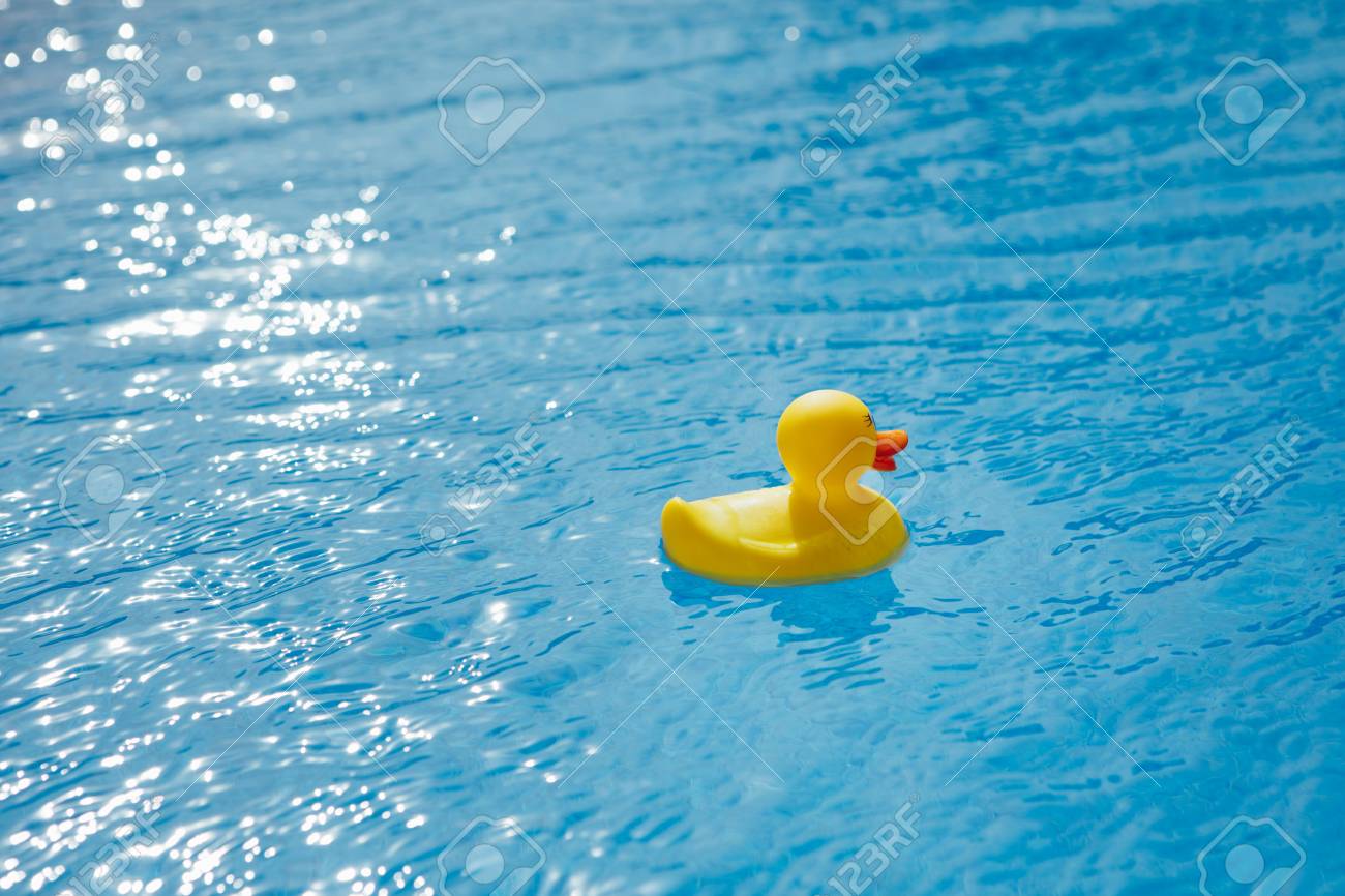 rubber ducky pool