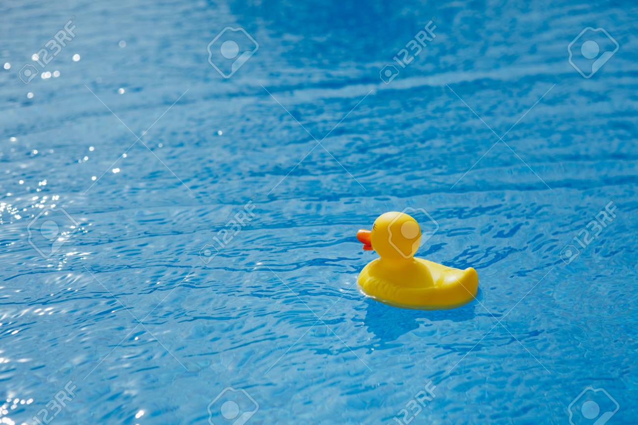 rubber ducky pool