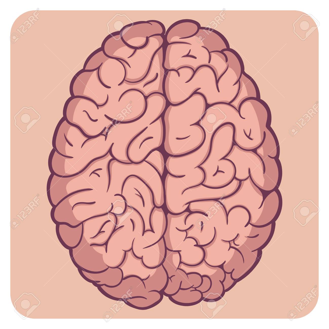 dibujos animados de dibujo del cerebro