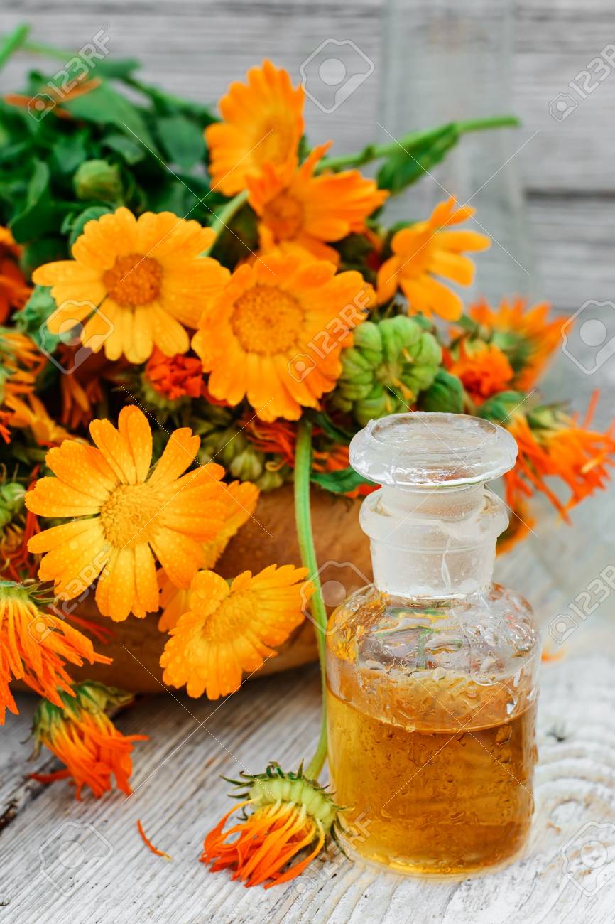 Calendula in traditional medicine. Calendula tincture: instructions, reviews 13 Calendula in traditional medicine. Calendula tincture: instructions, reviews 45