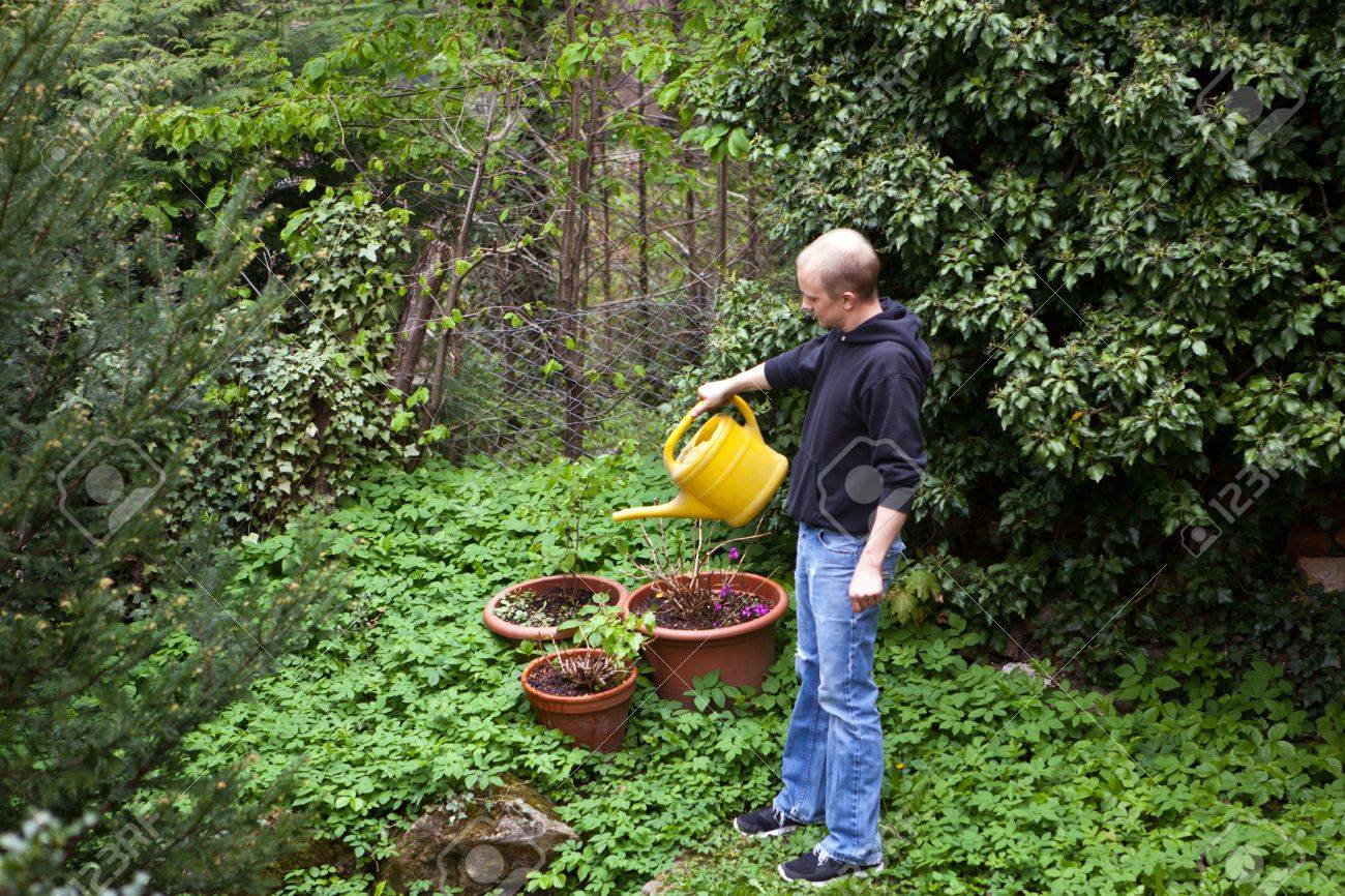 Umtopfen Gartner Junge Aloe Vera Pflanzen Im Garten Lizenzfreie Fotos Bilder Und Stock Fotografie Image 13484739