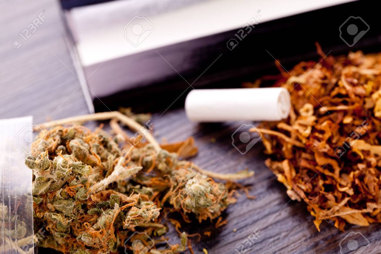 乾燥大麻はジッパーのついたセロファン ラッパーとテーブルの上にフィルターを圧延の紙の上に葉を閉じる の写真素材 画像素材 Image 乾燥大麻はジッパーのついたセロファン ラッパーとテーブルの上にフィルターを圧延の紙の上に葉を閉じる の写真素材 画像素材 Image