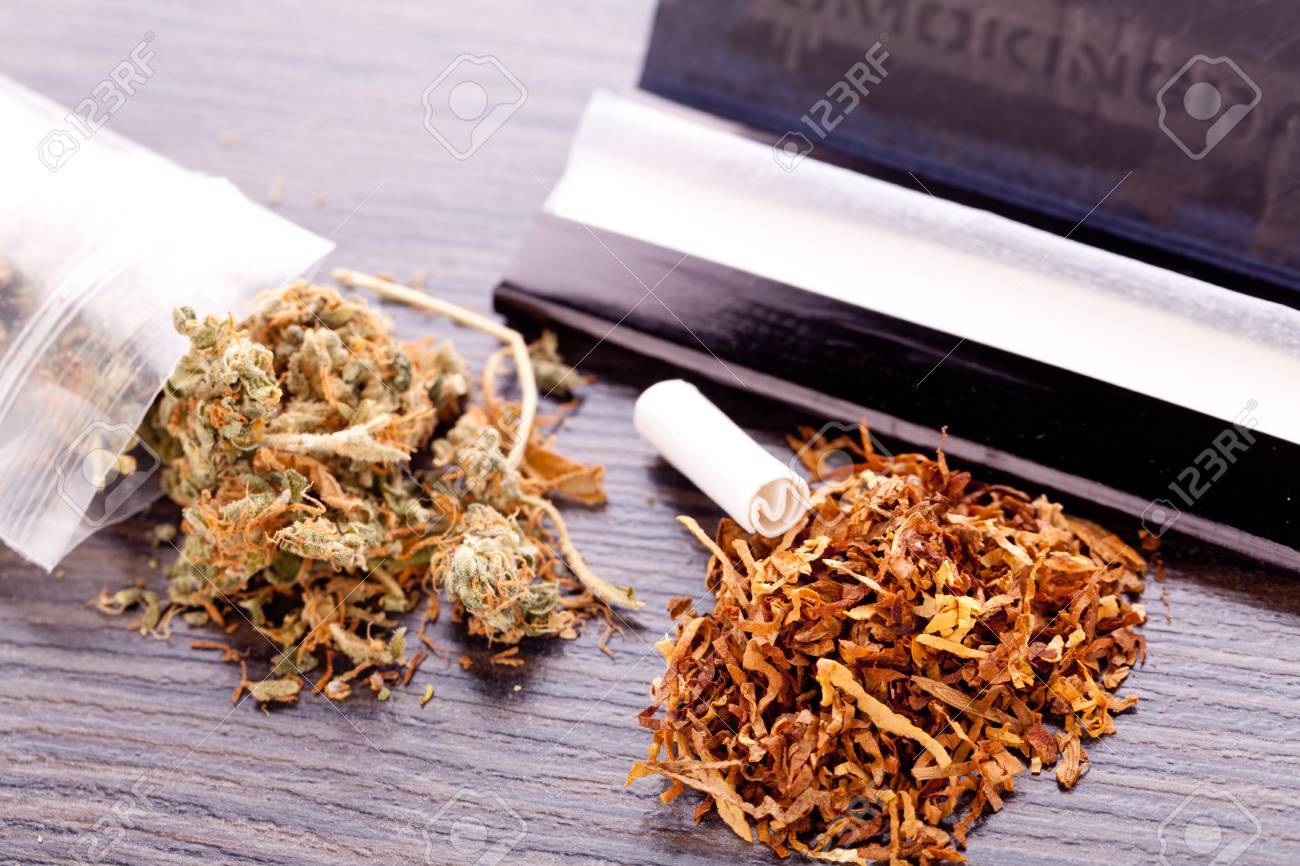 乾燥大麻はジッパーのついたセロファン ラッパーとテーブルの上にフィルターを圧延の紙の上に葉を閉じる の写真素材 画像素材 Image 乾燥大麻はジッパーのついたセロファン ラッパーとテーブルの上にフィルターを圧延の紙の上に葉を閉じる の写真素材 画像素材 Image