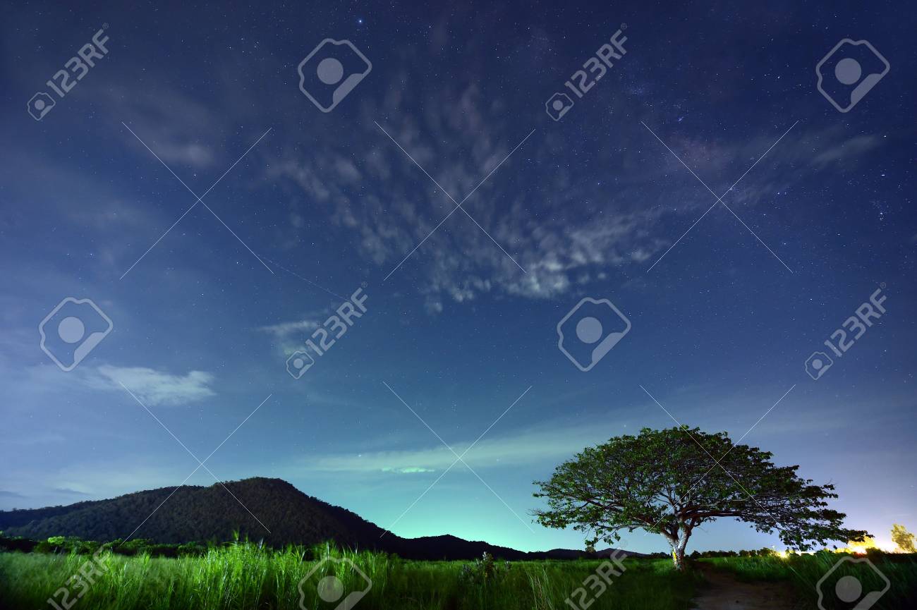Ciel Nocturne Avec La Voie Lactée Au Dessus De La Forêt Et Des Arbres Thaïlande