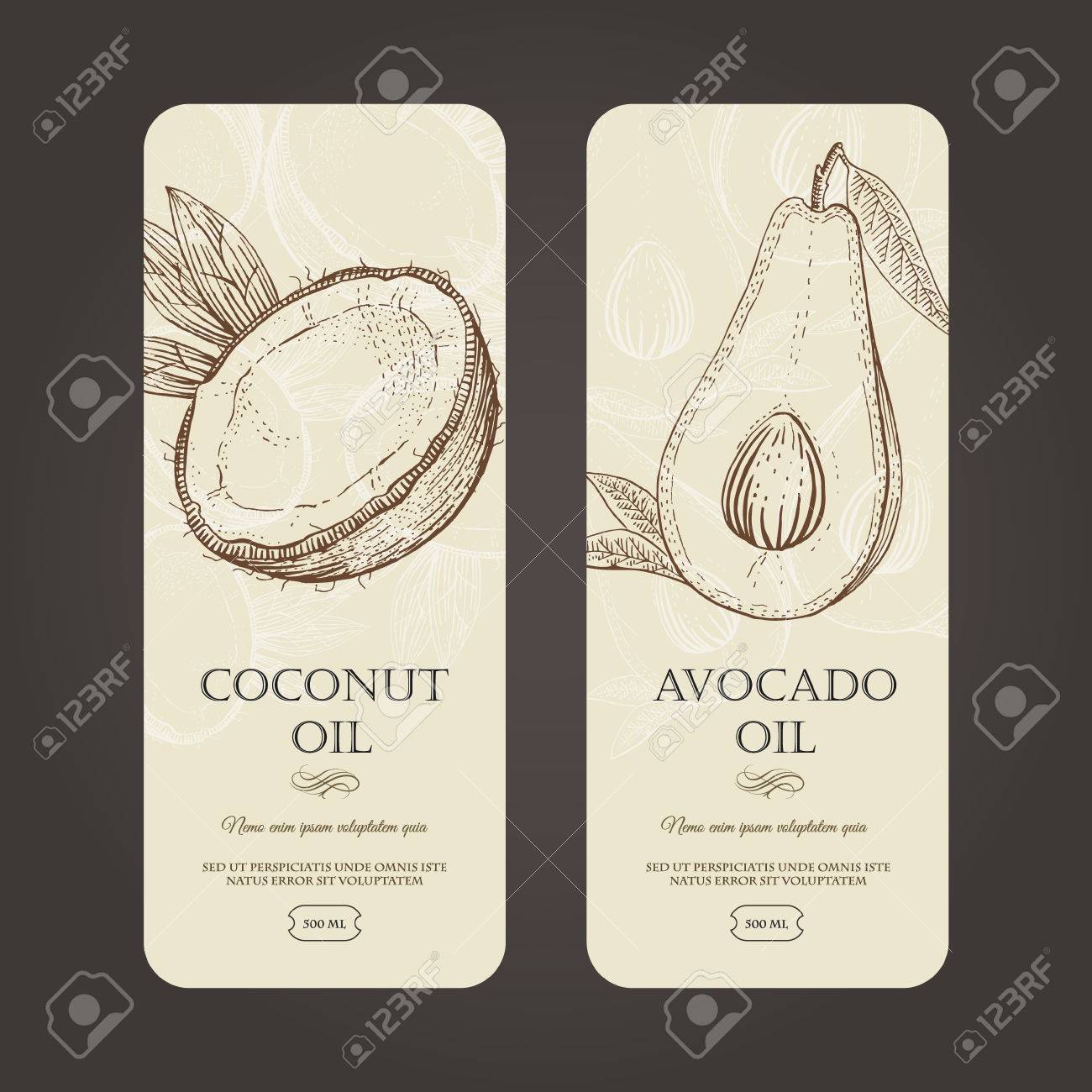 木版画のスタイルでココナッツとアボカド オイルのベクトル テンプレートのラベル 簡単編集 単純なデータ 完全のパッケージ デザイン のイラスト素材 ベクタ Image