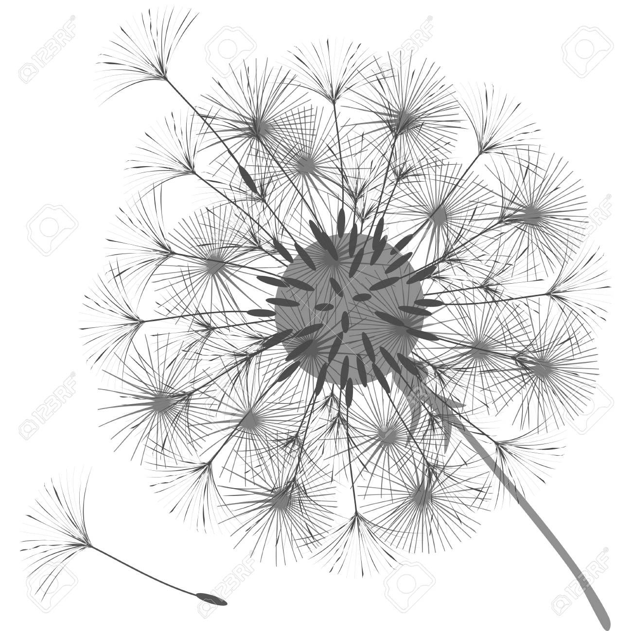 abstract background of a dandelion for design the wind blows