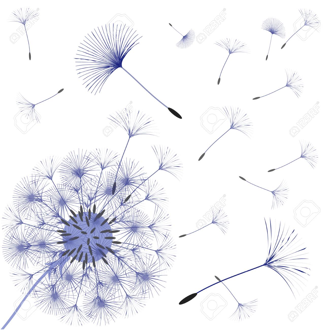 abstract background of a dandelion for design the wind blows