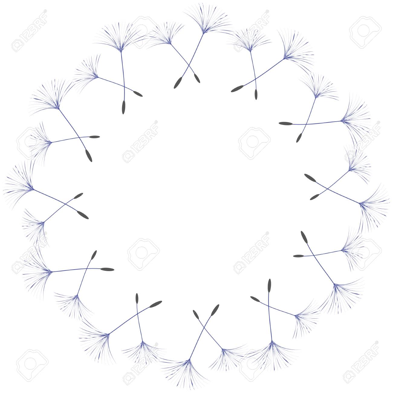 abstract frame of a dandelion for design the wind blows the seeds