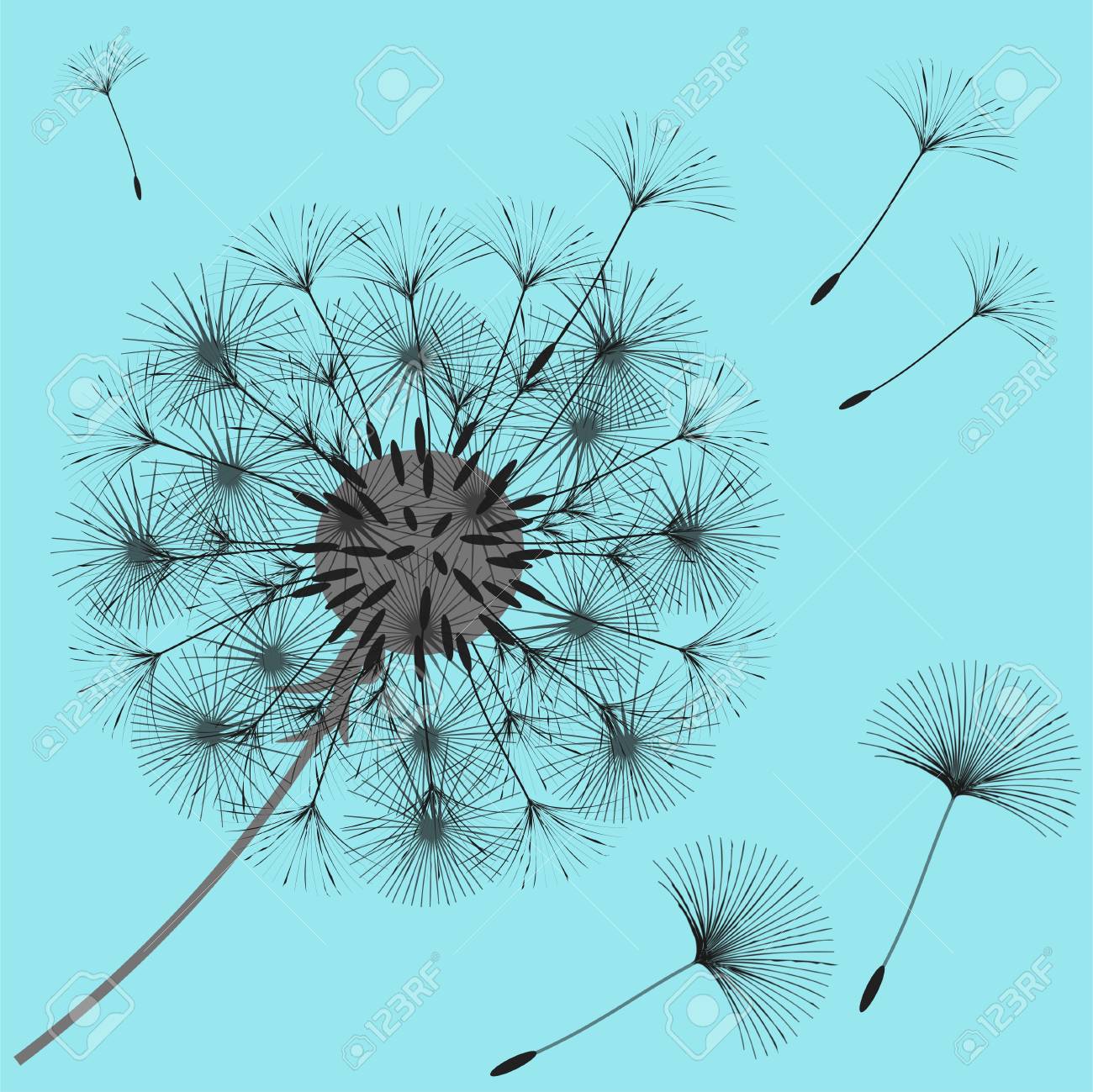 abstract background of a dandelion for design the wind blows